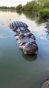 A Baby Otter Lost in a Flood – Part 2 | Hope After the Storm 🦦🌊