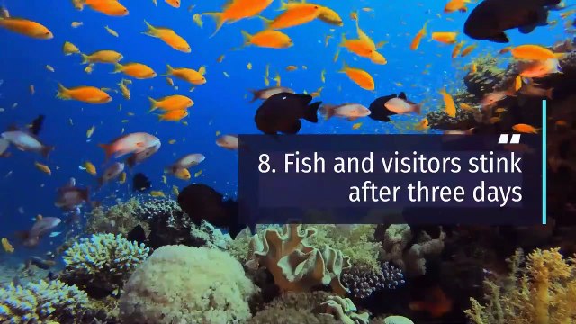 20 Benjamin Franklin Quotes