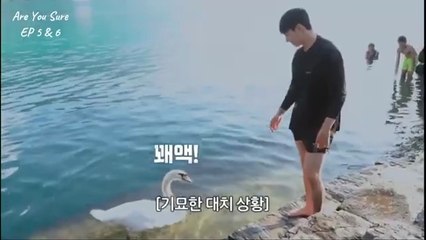 Are You Sure Season 2 Episode 5 Eng Sub | Are You Sure S02 Ep 5 Eng Sub | Are You Sure Season 2 Ep 6 Eng Sub