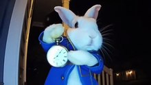 All roads lead to Rome… 🐇⏱️ #aivideos #sora #ringdoorbell #whiterabbit #meme