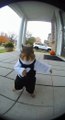 🐿️#funny #shorts #viral #fypシ #fypシ゚viral #soraai #funnyaivideos #halloween #ringdoorbellfootage #ti