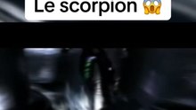 LE SCORPION DÉBARQUE !