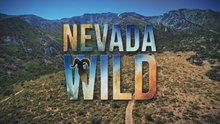 Nevada Wild S01E04