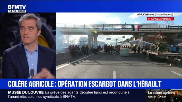 Dermatose nodulaire: les vétérinaires de l'armée vont être mobilisés