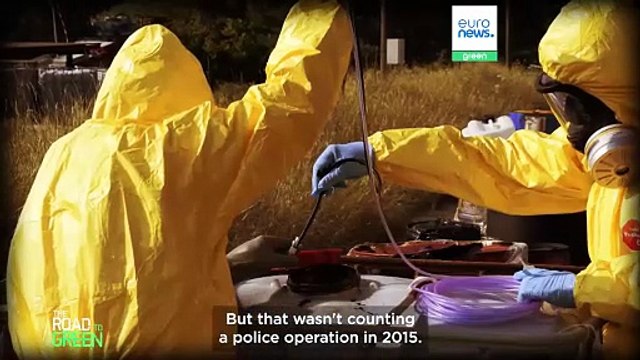 Making polluters pay: how can we stop environmental criminals?