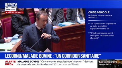 "La France votera contre le traité du Mercosur" réaffirme Sébastien Lecornu