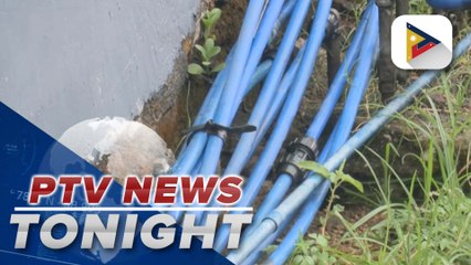 Palace monitoring developments on possible takeover of PrimeWater by a private company