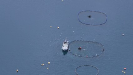 Pesca, stop ai tagli: nel 2026 niente riduzione delle giornate in mare