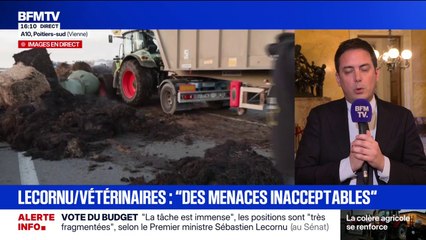 Dermatose nodulaire contagieuse: “Les gouvernements successifs n’ont pas fait leur travail”, tacle Yoann Gillet (RN)