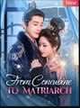 From Concubine to Matriarch Chinese Drama - English Sub