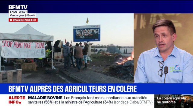 Colère des agriculteurs: pour Alexandre Carcouet, président de la Fédération française des commerçants de bestiaux, “on peut partir sur une vaccination un peu plus large, mais avant, il faut s’assurer que les accords bilatéraux soient en place”