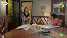 Jama Taqseem 2nd Last Episode 29 - [CC] 17 Dec 25 - Diamond Paints & Nisa Naturals Shampoo - HUM TV