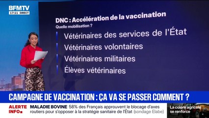 LES ÉCLAIREURS - Campagne de vaccination: ça va se passer comment?