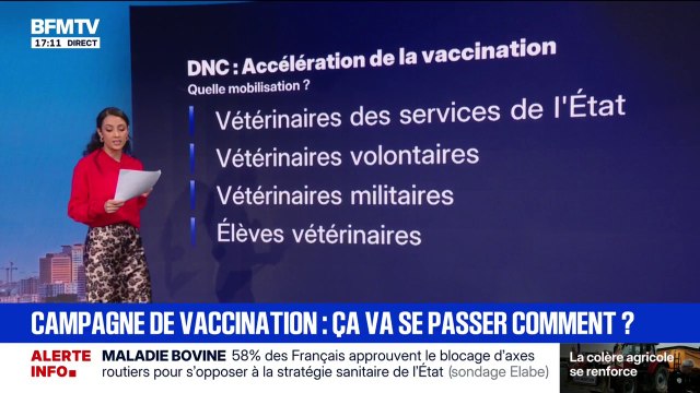 LES ÉCLAIREURS - Campagne de vaccination: ça va se passer comment?