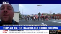 68 de ses bêtes ont été abattues: cet agriculteur témoigne sur BFMTV