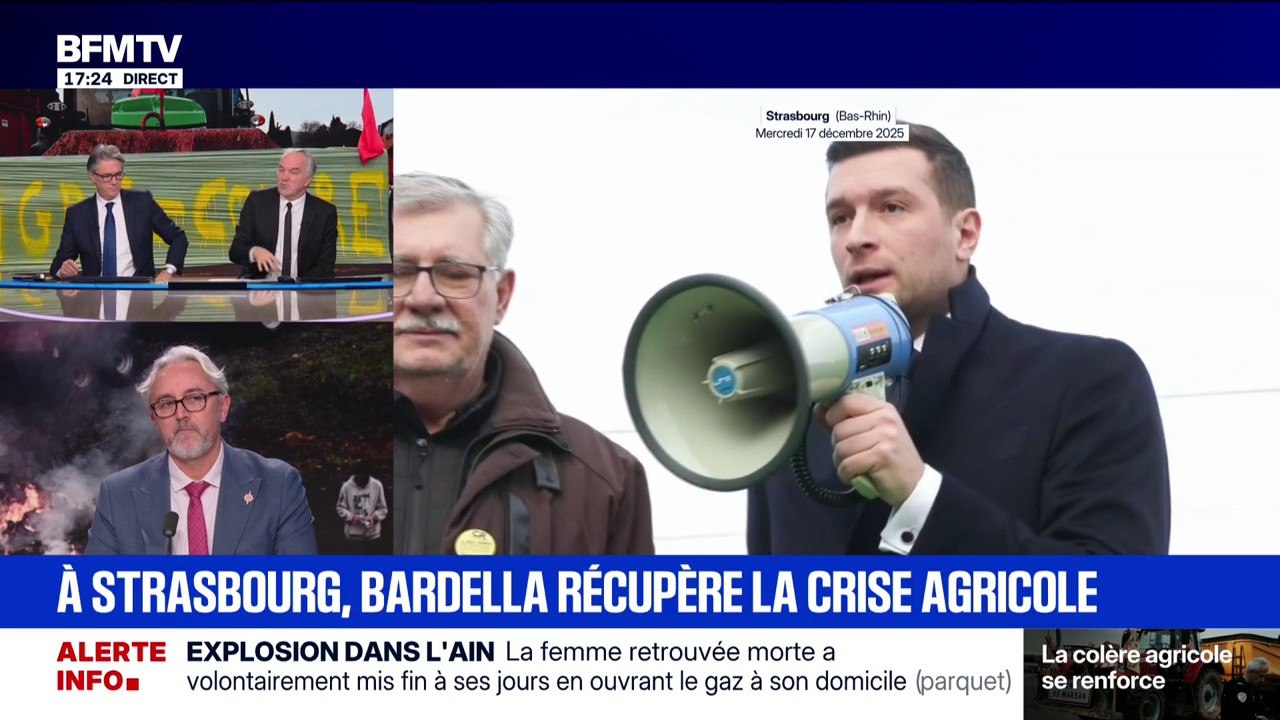 Jordan Bardella aux côtés des agriculteurs à Strasbourg: "C'est de la récupération politique" affirme Éric Martineau, député MoDem