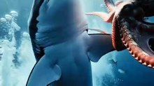 shark VS octopus
