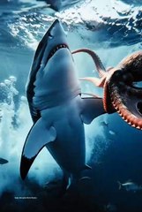 shark VS octopus
