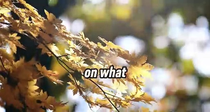 Blessings Will Follow in the Space of Gratitude | A Powerful Message to Change Your Life