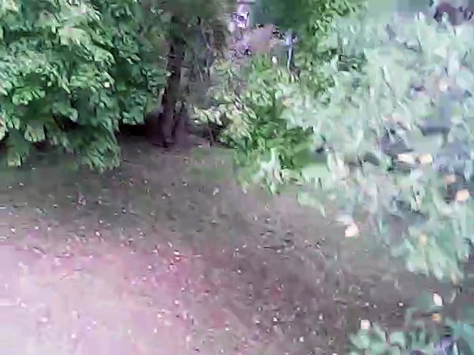 yard
