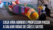 Casa vira abrigo e professor passa a salvar vidas de cães e gatos