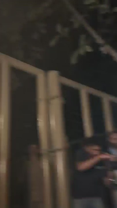 El juego de Messi con crías de elefantes durante su visita a la India