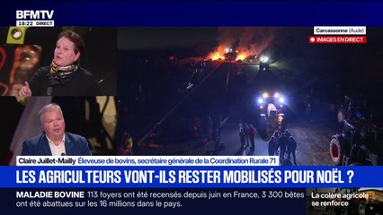 Dermatose nodulaire: "On demande la vaccination généralisée" martèle Claire Juillet-Mailly, la secrétaire générale de la Coordination Rurale 71