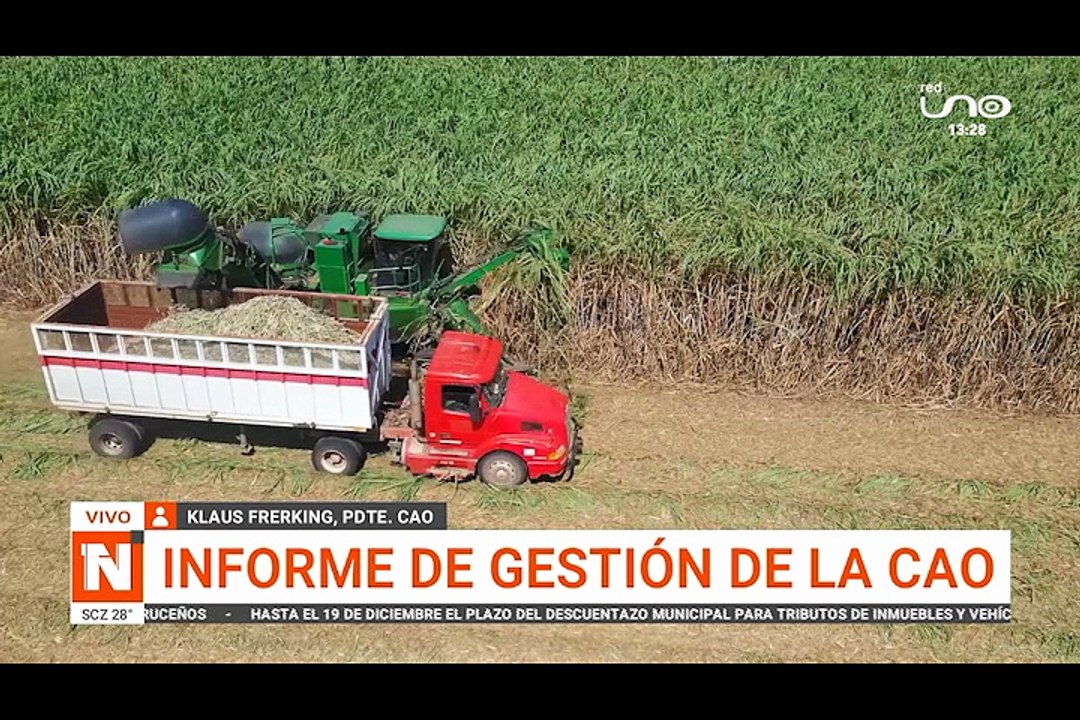 INFORME DE GESTIÓN DE LA CAO