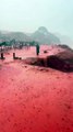 🌊 Quand la mer devient rouge : spectacle naturel à Hormuz  Le 17 décembre 2025, de fortes pluies ont transformé la célèbre Red Beach de l’île d’Hormuz (Iran) en un décor irréel.