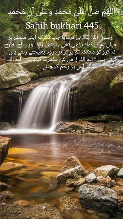 Sahih bukhari 445