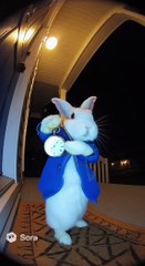 All roads lead to Rome… 🐇⏱️ #aivideos #sora #ringdoorbell #whiterabbit #meme