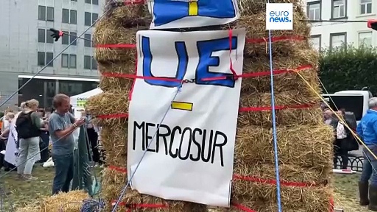 Italien über EU-Mercosur-Abkommen: Unterzeichnung 'wäre verfrüht'