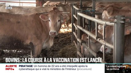 Colère des agriculteurs: près de 6 Français sur 10 approuvent les blocages (Sondage Elabe pour BFMTV)