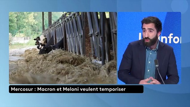 Les informés de franceinfo du mercredi 17 décembre 2025