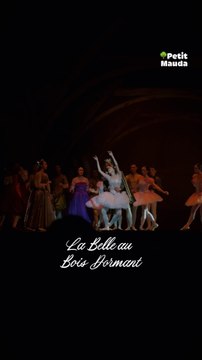 Mon Premier Ballet : La Belle au Bois Dormant ✨©️ Crédit : @petitmauda🎁 Tous nos bons plans à retrouver en bio ! ❤️‍🔥👉🏻 Abonne-toi au Petit Mauda pour plus d’inspiration ! 🌳