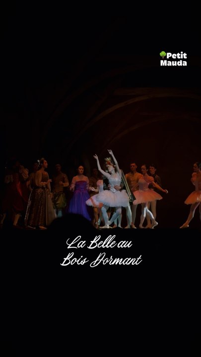 Mon Premier Ballet : La Belle au Bois Dormant ✨©️ Crédit : @petitmauda🎁 Tous nos bons plans à retrouver en bio ! ❤️‍🔥👉🏻 Abonne-toi au Petit Mauda pour plus d’inspiration ! 🌳