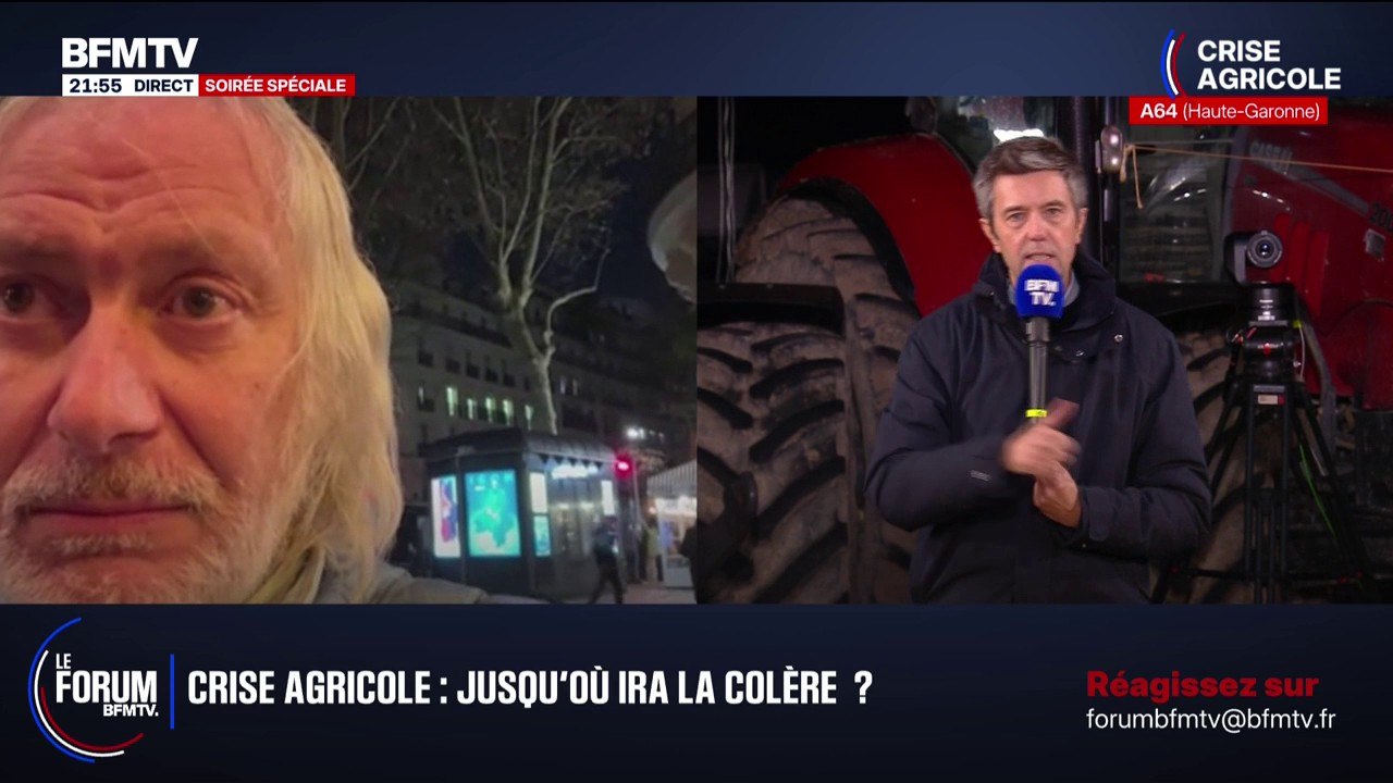 FORUM BFM - "Il faut vacciner massivement les troupeaux infectés" estime Thierry Bedossa, vétérinaire