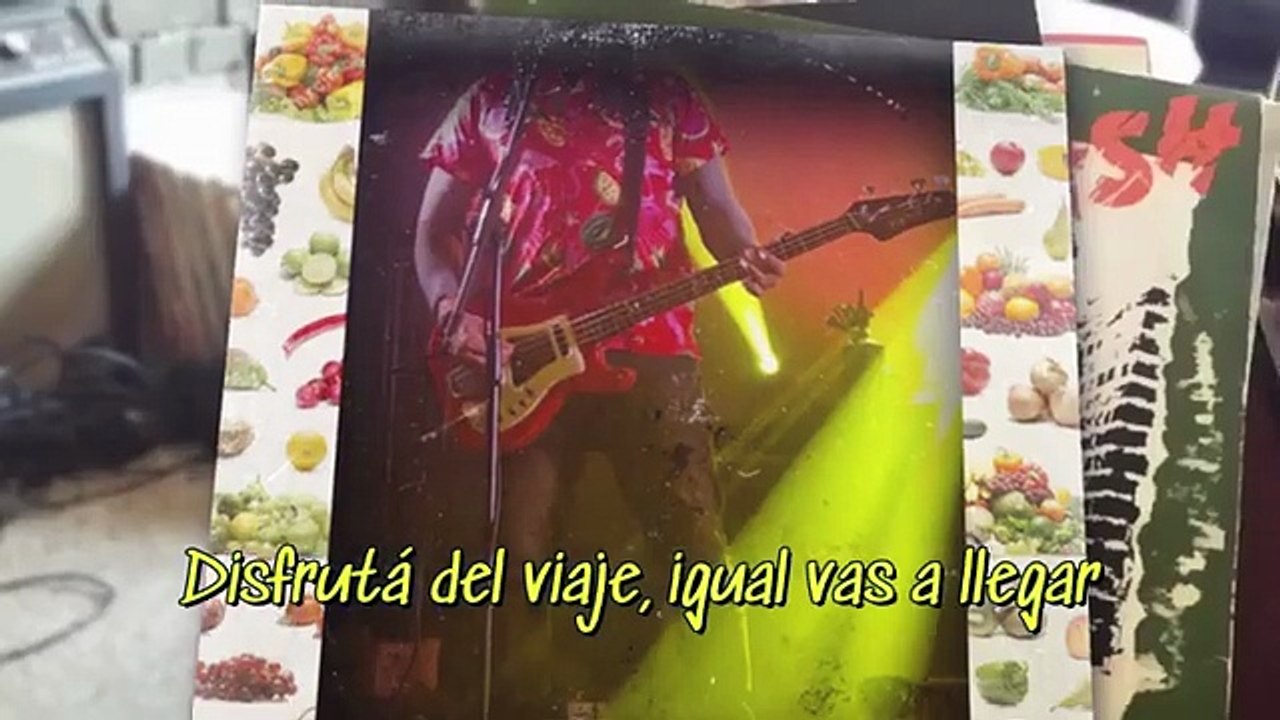 Nadie nos para - Versión Monos del tema del programa #Nadienospara de @fmrockandpop959