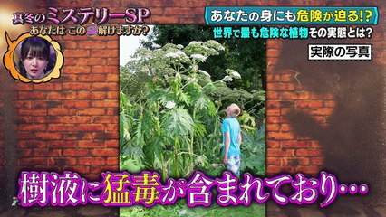奇跡体験！アンビリバボー 2025年12月17日放送 Ep1170 もうすぐクリスマス！真冬のミステリーSP