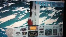 Flight simulator 95