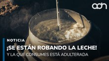 ¡Se están robando la leche! Y la que consumes está adulterada