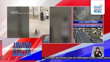 Asong nahuli-cam na pinalo ng isang lalaki, nasawi | Unang Balita