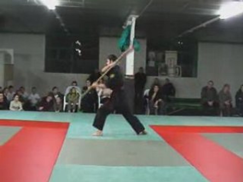 Hallebarde Kwan Dai dao Long Ho Hoi