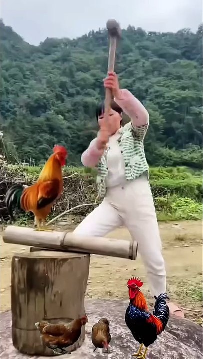 Entertainment Videos