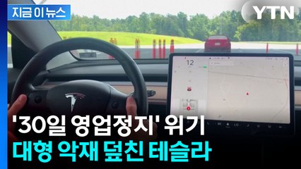 "완전자율주행이라더니"...영업정지 돌발 위기에 테슬라 휘청 [지금이뉴스] / YTN