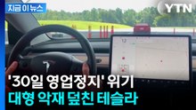 "완전자율주행이라더니"...영업정지 돌발 위기에 테슬라 휘청 [지금이뉴스] / YTN