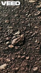 In monsoon, speed isn’t the killer — bad road drainage is. Slime, hidden potholes, zero grip. Rain exposes poor design. 🌧️