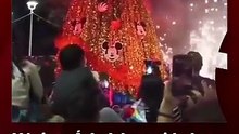México: Árbol de navidad se incendió segundos luego de su presentación, debido a los fuegos artificiales del evento.