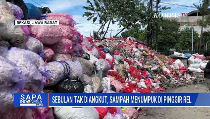 Polemik Viral Sampah Menumpuk di Tangsel hingga Bekasi, Tak Diangkut Sebulan Lebih!