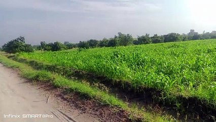 Beautiful places #beautifull#nice#viral#trending#foryou